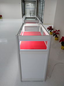 上海展覽展示會(huì)務(wù)服務(wù) 專(zhuān)業(yè)鑄就卓越，服務(wù)賦能品牌