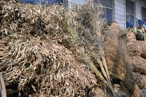 掃帚001 日用品市場(chǎng)中的必備清潔利器